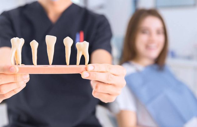 My dental office need a blog area care to ailing dear.